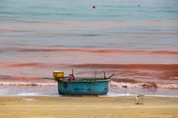 Nước biển ở Hà Tĩnh có màu đỏ như ‘máu’